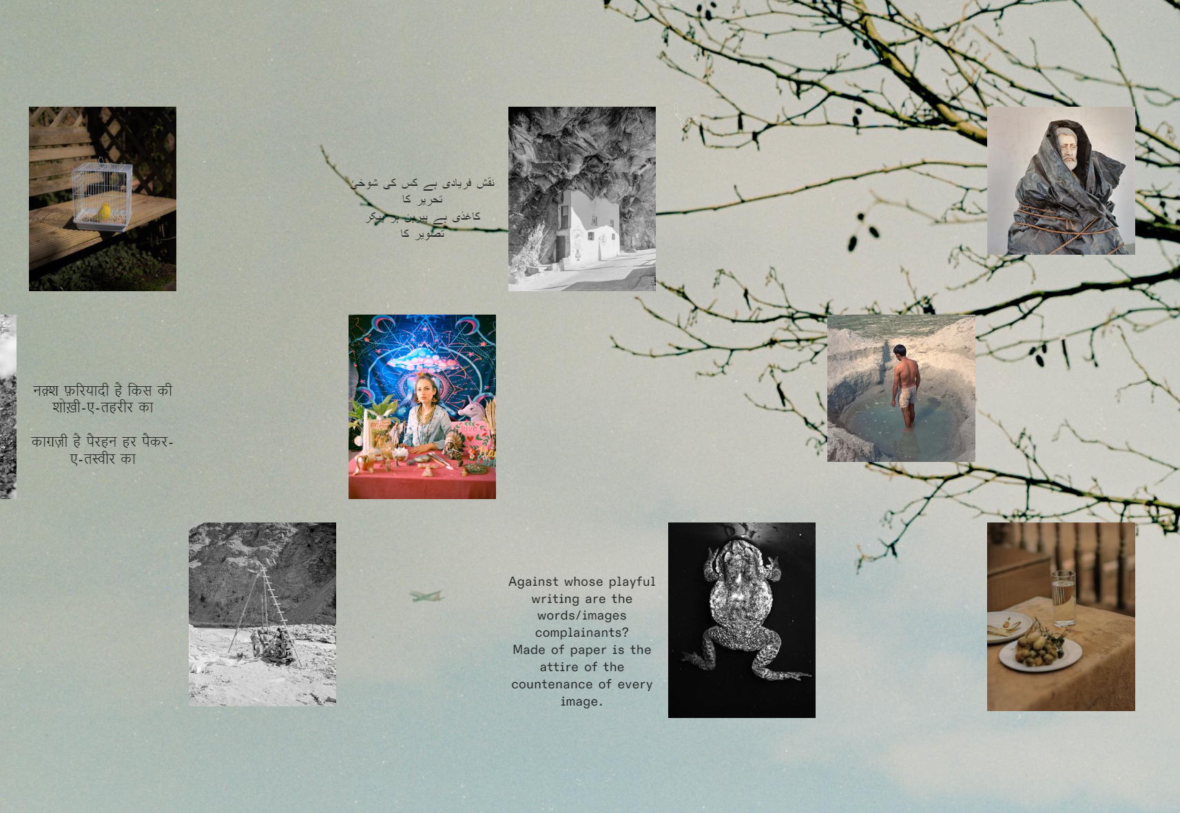 Art Commission 2024: Sub rosa (Under the rose), Ashutosh Shaktan